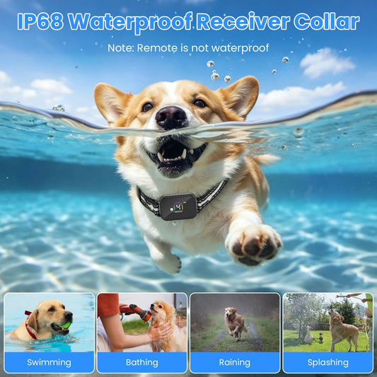 2-in-1 Dog Shock and Bark Collar Dog Training Collar with Remote
