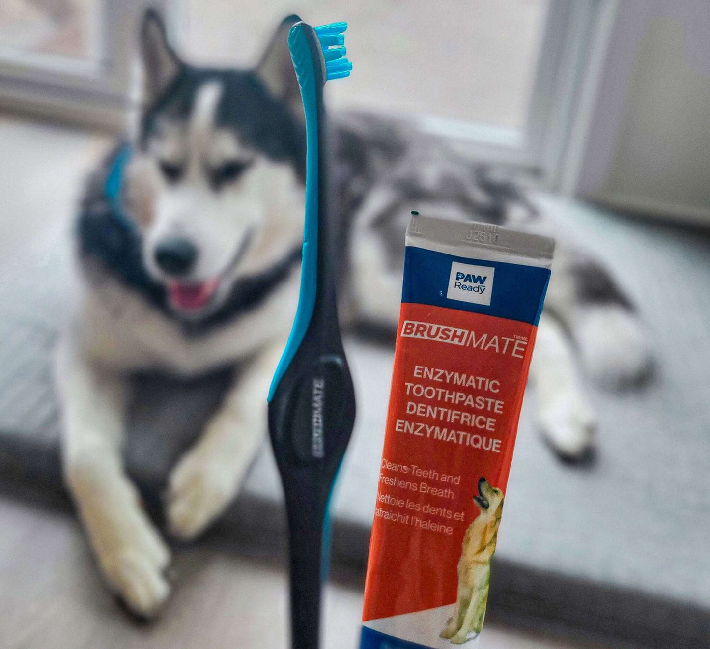 Pack BrushMate Pet Toothbrush