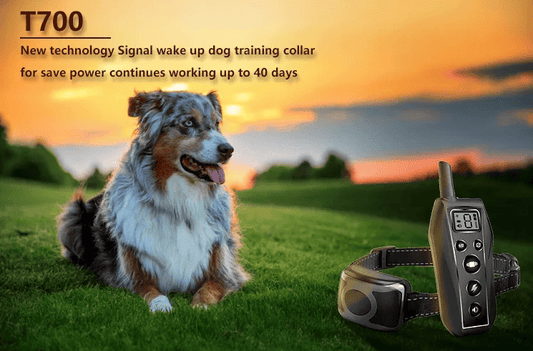 YD Remote Dog Training Shock Collar Waterproof for Small Medium