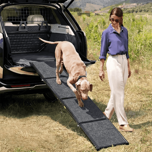 Wide Folding Dog Ramp for Car, SUV & Truck – Portable Pet Ramp