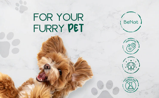 All-Natural 3-Pack Pet Grooming Bundle - Moisturizing Paw & Nose