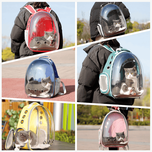 Cat Backpack Carrier Bubble Bag; Small Dog Backpack Carrier