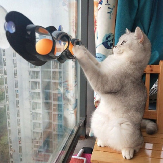 Cat Toys Track Window Suction Cups Toy Ball Scratch Plastic Ping