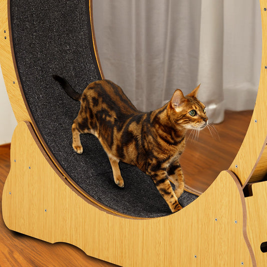 Cat Wheel Exerciser for Indoor Cats, 39.4-Inch Large Cat Exercise
