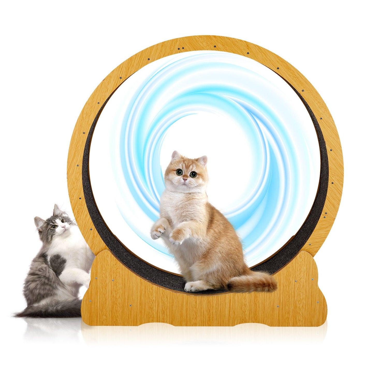 Cat Wheel Exerciser for Indoor Cats, 39.4-Inch Large Cat Exercise