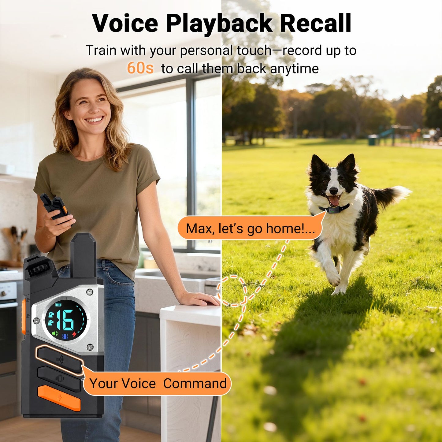 Dog Shock Collar with Remote Control, Dual Dog Control