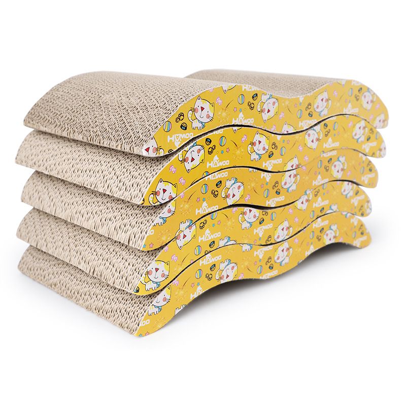 555842231