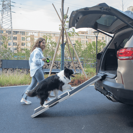 Foldable Aluminum Dog Car Step Ramp, Dog Ramp Climbing Ladder