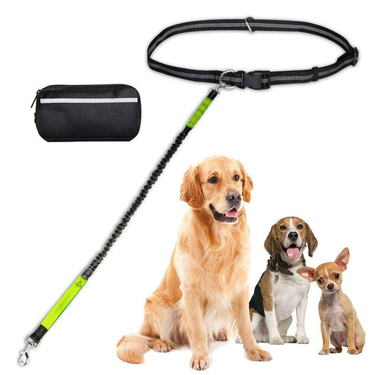 Hands Free Dog Leash with Zipper Pouch; Dual Padded Handles