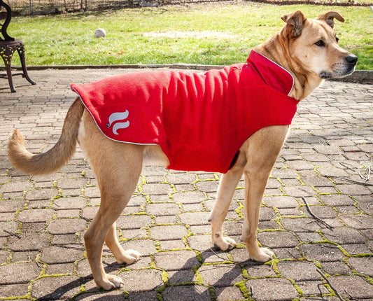 Dog Helios Lotus-Rusher Waterproof 2-in-1 Convertible Dog Jacket