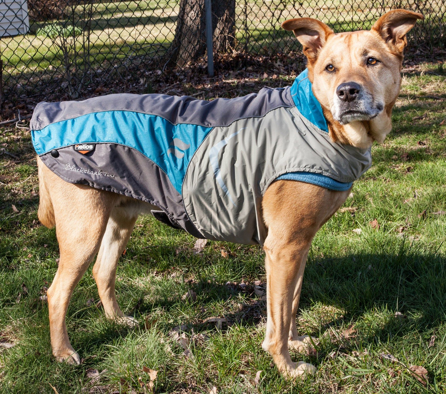 Helios Lotus-Rusher Waterproof 2-in-1 Convertible Dog Jacket