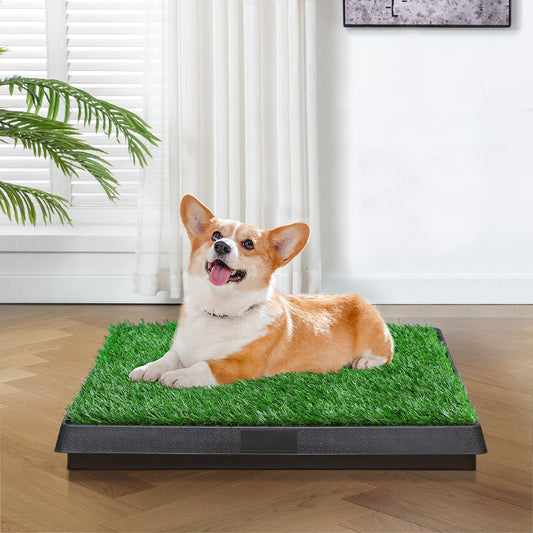 Indoor/Outdoor Pet Loo, Dog Litter Box, Portable Dog Litter Box