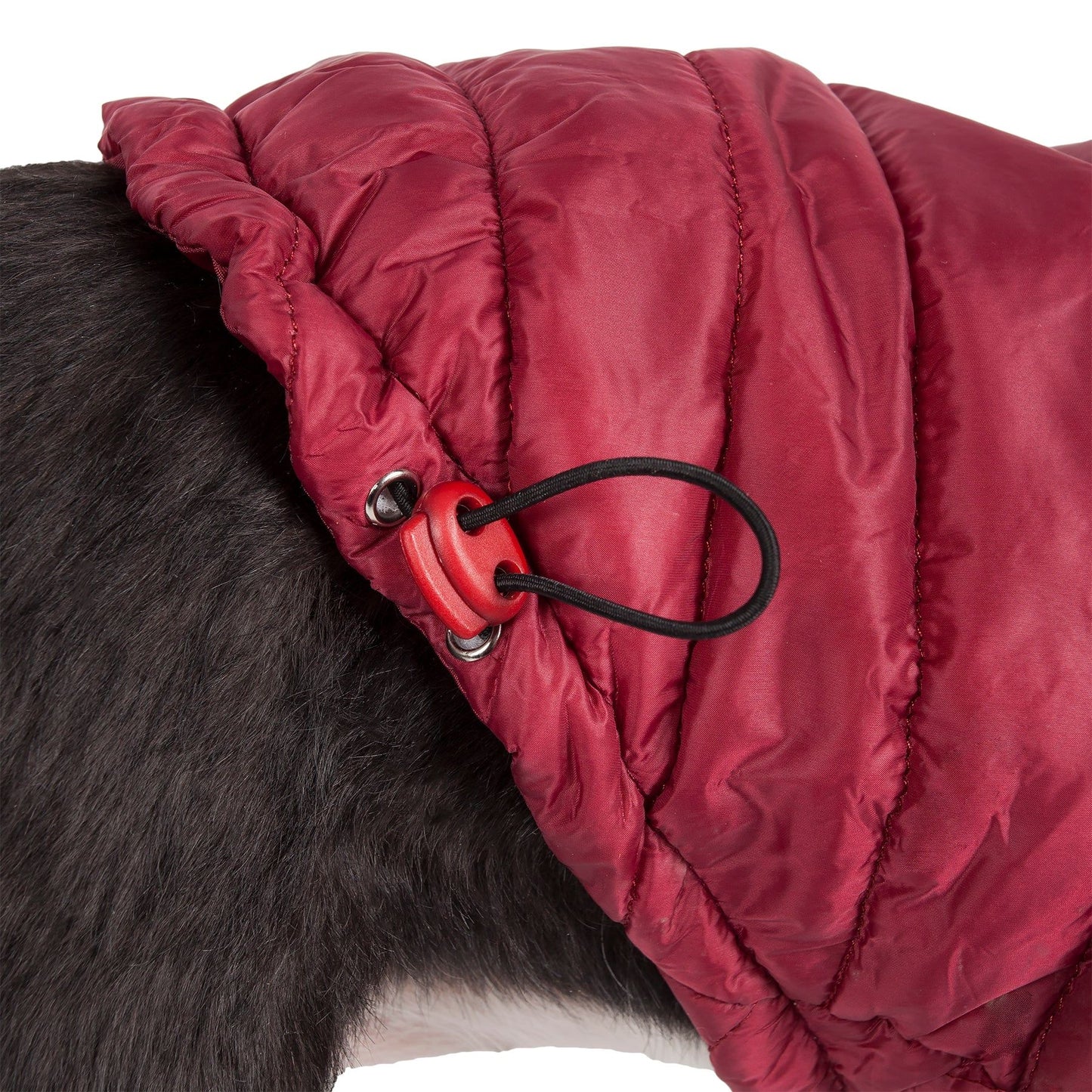 Lightweight Adjustable Pet Coat