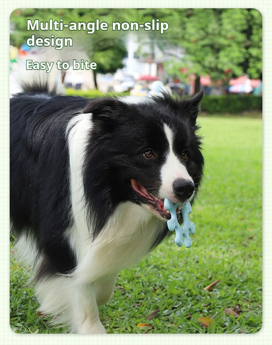 Pet Interactive Flywheel,Dog Toy,Fun Interactions Buildstronger