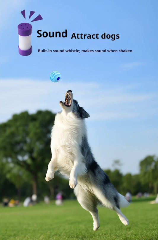 Pet Interactive Sound Ball,The Mellow Dog Cat Pet Voice