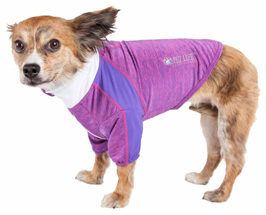 Active 4-Way Stretch Performance Long Sleeve Dog T-Shirt