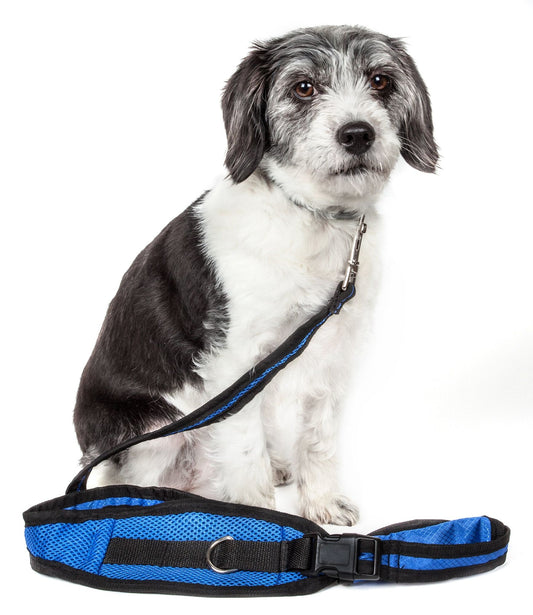 Echelon Hands Free and Convertible 2-in-1 Training Dog Leash