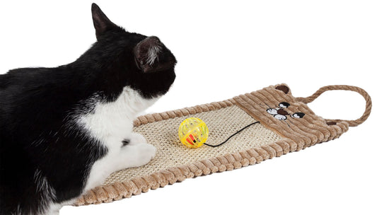 Eco-Natural Sisal and Jute Hanging Carpet Kitty Cat Scratcher