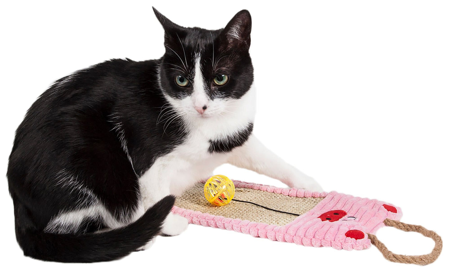 Eco-Natural Sisal and Jute Hanging Carpet Kitty Cat Scratcher