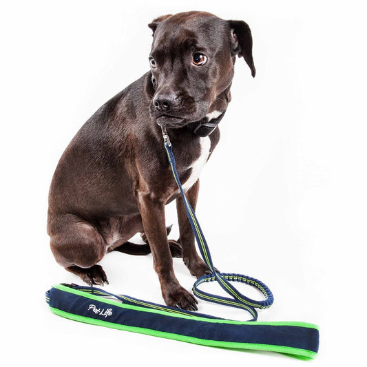 Hands Free Over-the-Shoulder Shock Absorbent Dog Leash