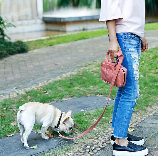Purse Dog Leash, Accessory Holder and Waste Bag Dispenser