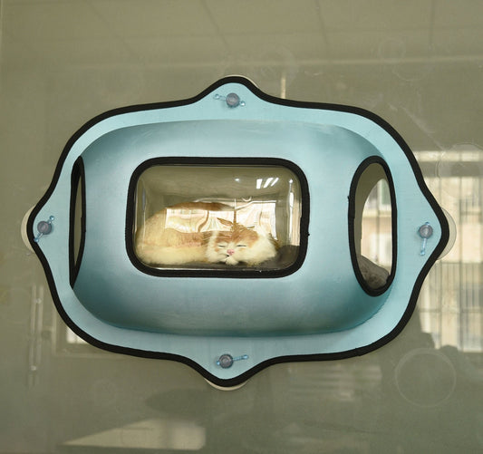 See-Through Suction Cup Kitty Cat Lounger and Bed