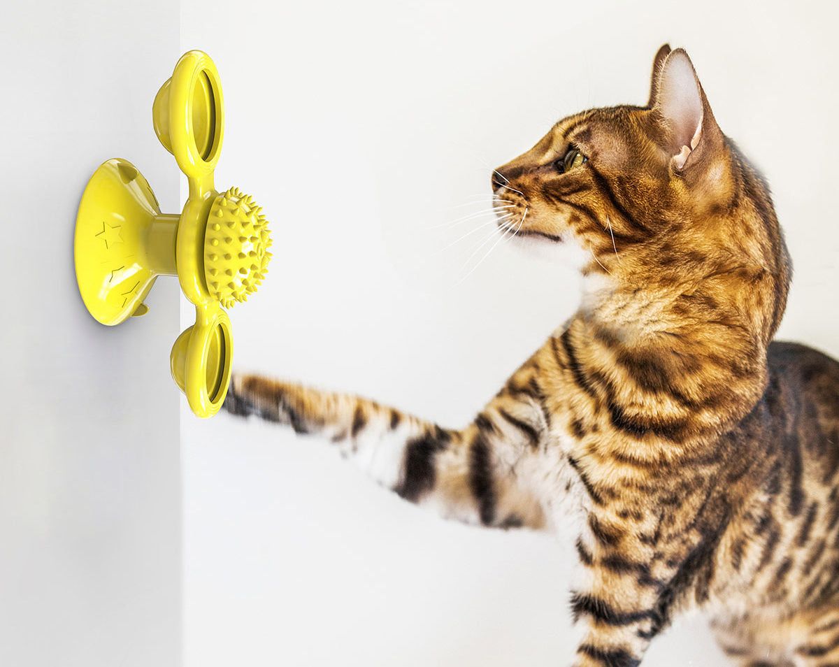 Rotating Suction Cup Spinning Cat Toy