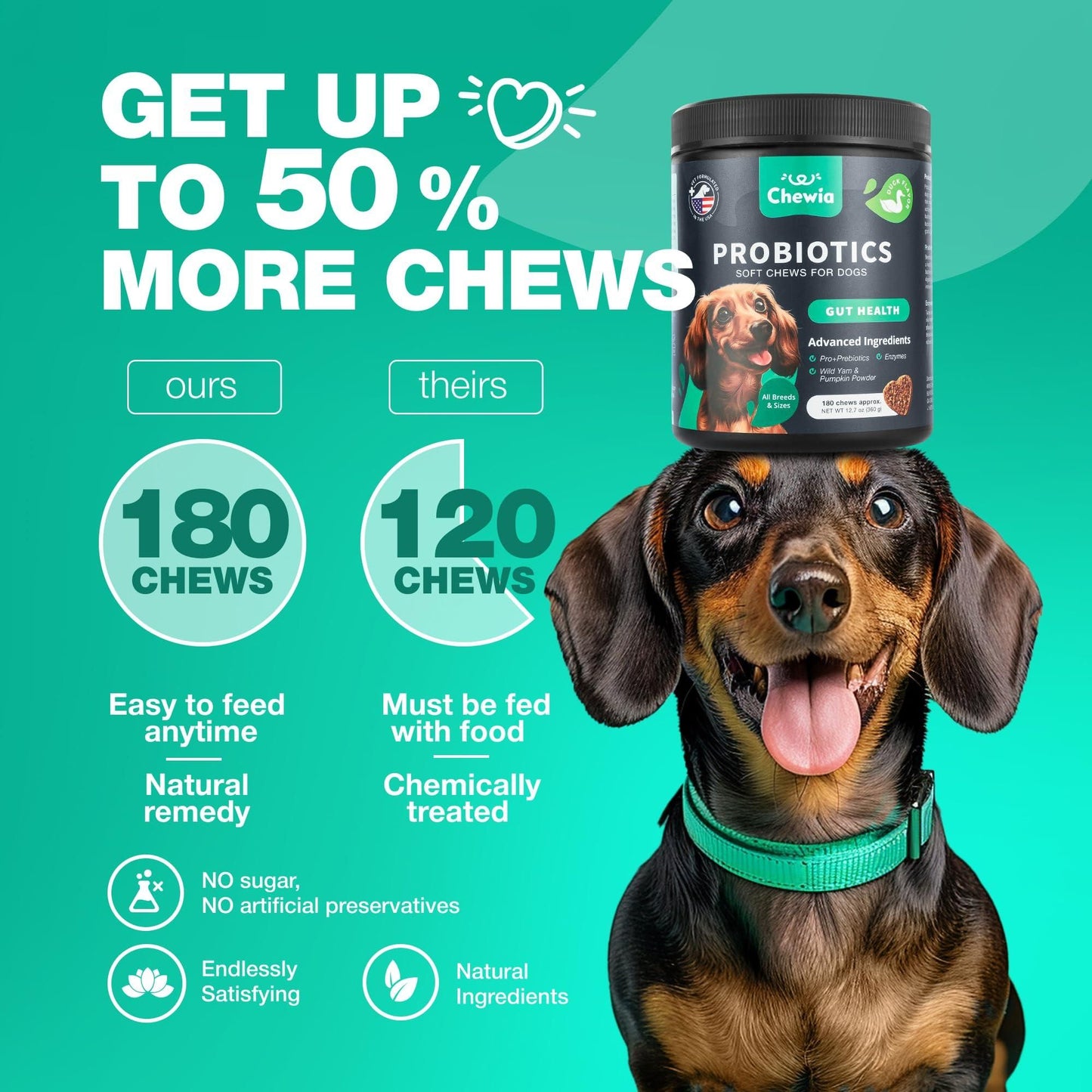 Dog Probiotic Chews with Pumpkin & Digestive Enzymes