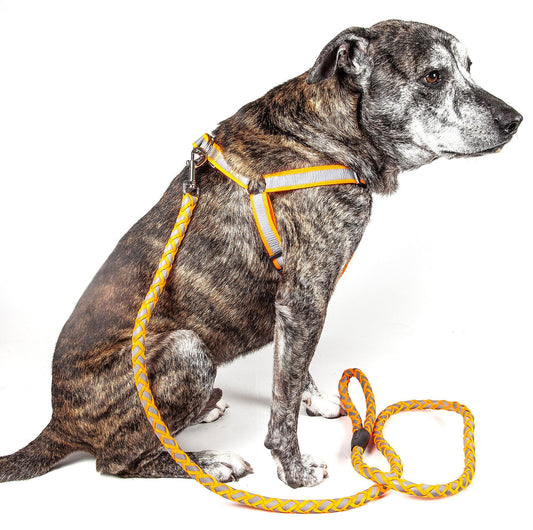Reflective Stitched Easy Tension Adjustable 2-in-1 Dog Leash