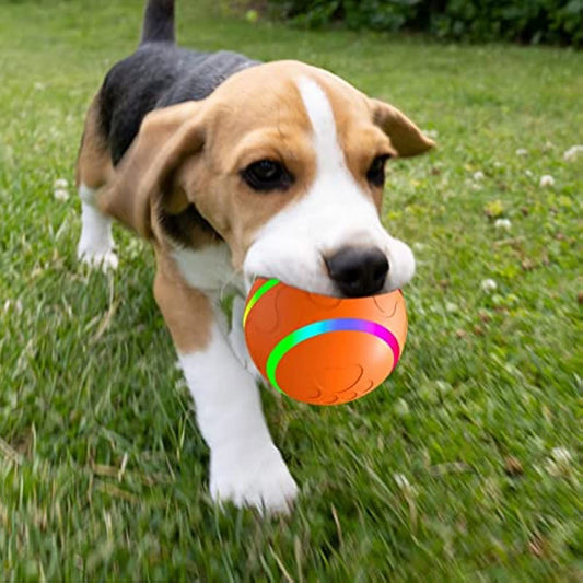 Rolling Ball for Dogs; Pet Dog Mental Stimulation Toys | Made