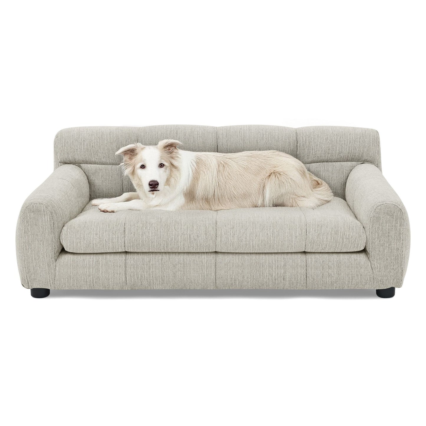 Soft and Comfortable Pet Sofa with Backrest and Armrests, Suitable
