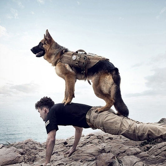 Tactical Dog Harness with Pouches; Adjustable Harness with 3