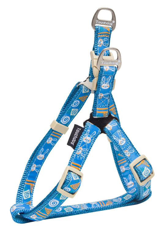 Designer Embroidered Fashion Pet Dog Leash and Harness Combination