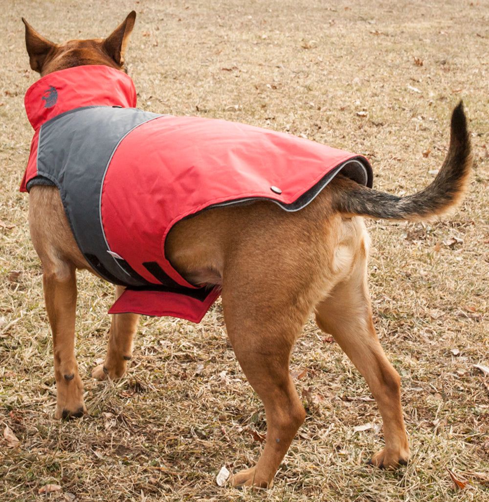 Touchdog Lightening-Shield Waterproof 2-in-1 Convertible Dog Jacket