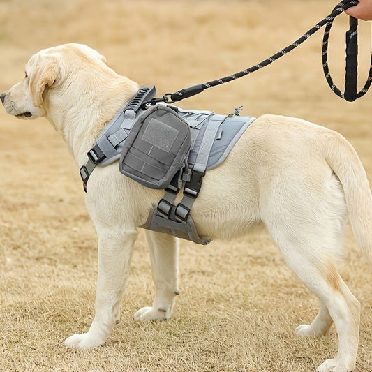 Universal Outdoor Dog Harness with Pet Leash and Snap Shackle