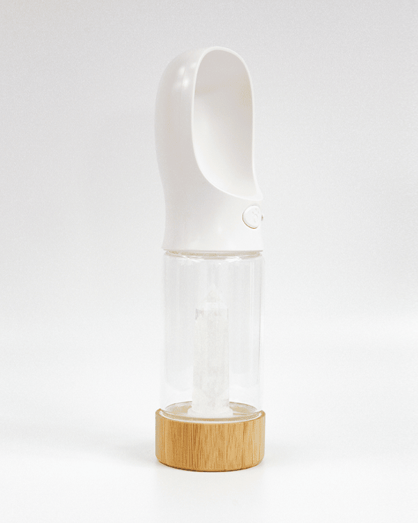 Urban Oasis - Crystal Infused Pet Water Bottle