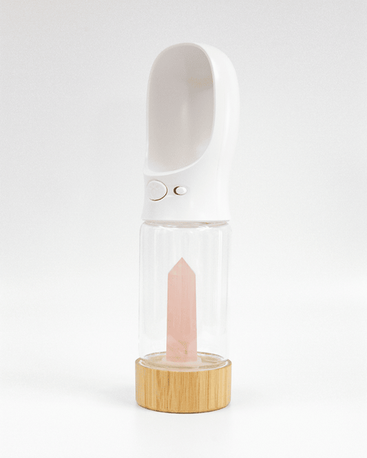 Urban Oasis - Crystal Infused Pet Water Bottle