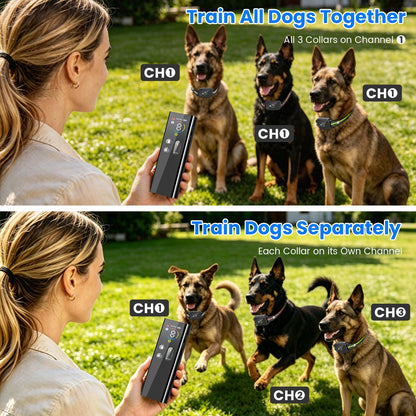 2-in-1 Dog Shock and Bark Collar Dog Training Collar with Remote