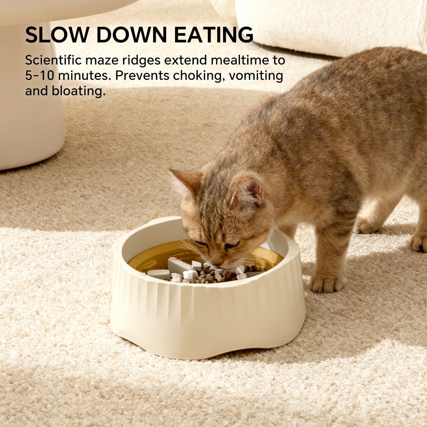 2-in-1 Dual Mode Large Plastic Cat Slow Feeder Bowl, Switchable