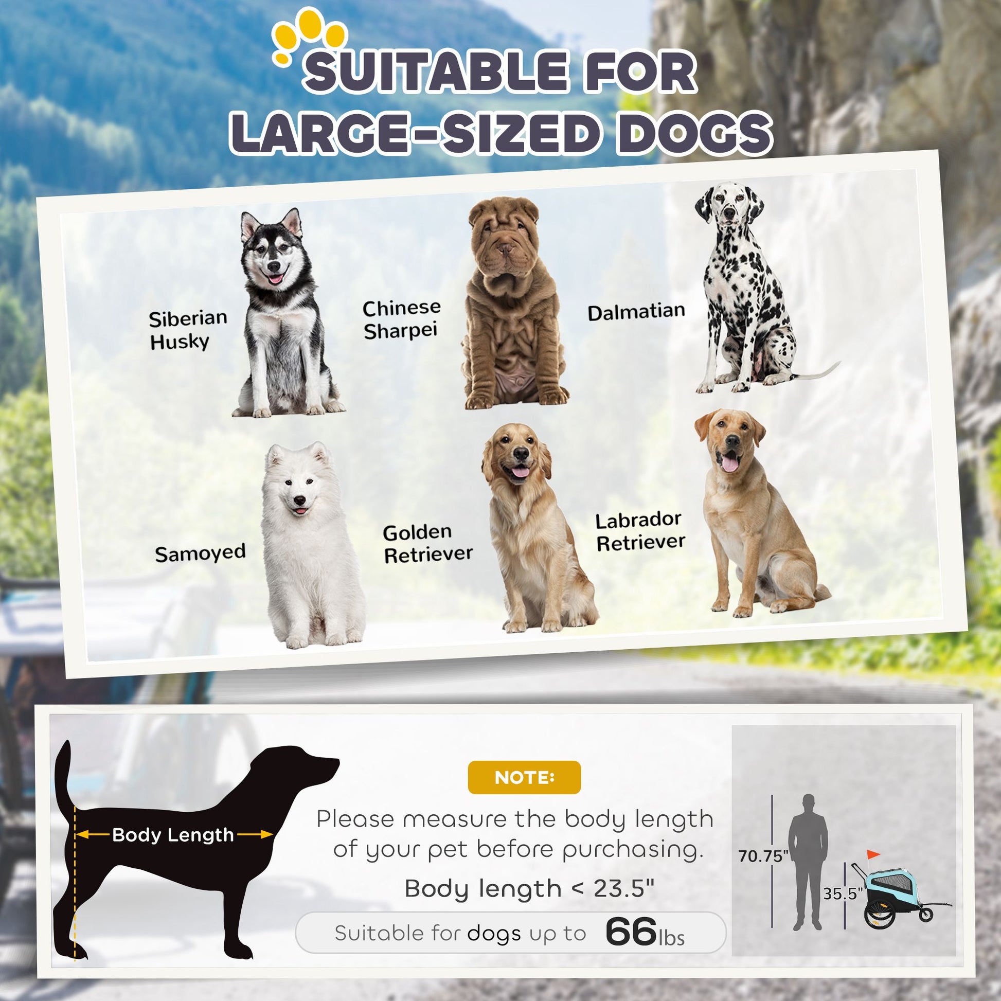 2-in-1 Large Dog Bike Trailer & Stroller Combo with Safety Hitch