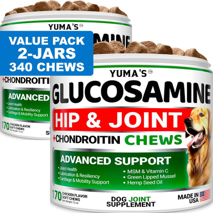 Glucosamine Chondroitin Hip & Joint Chews for Dogs, 2 Pack