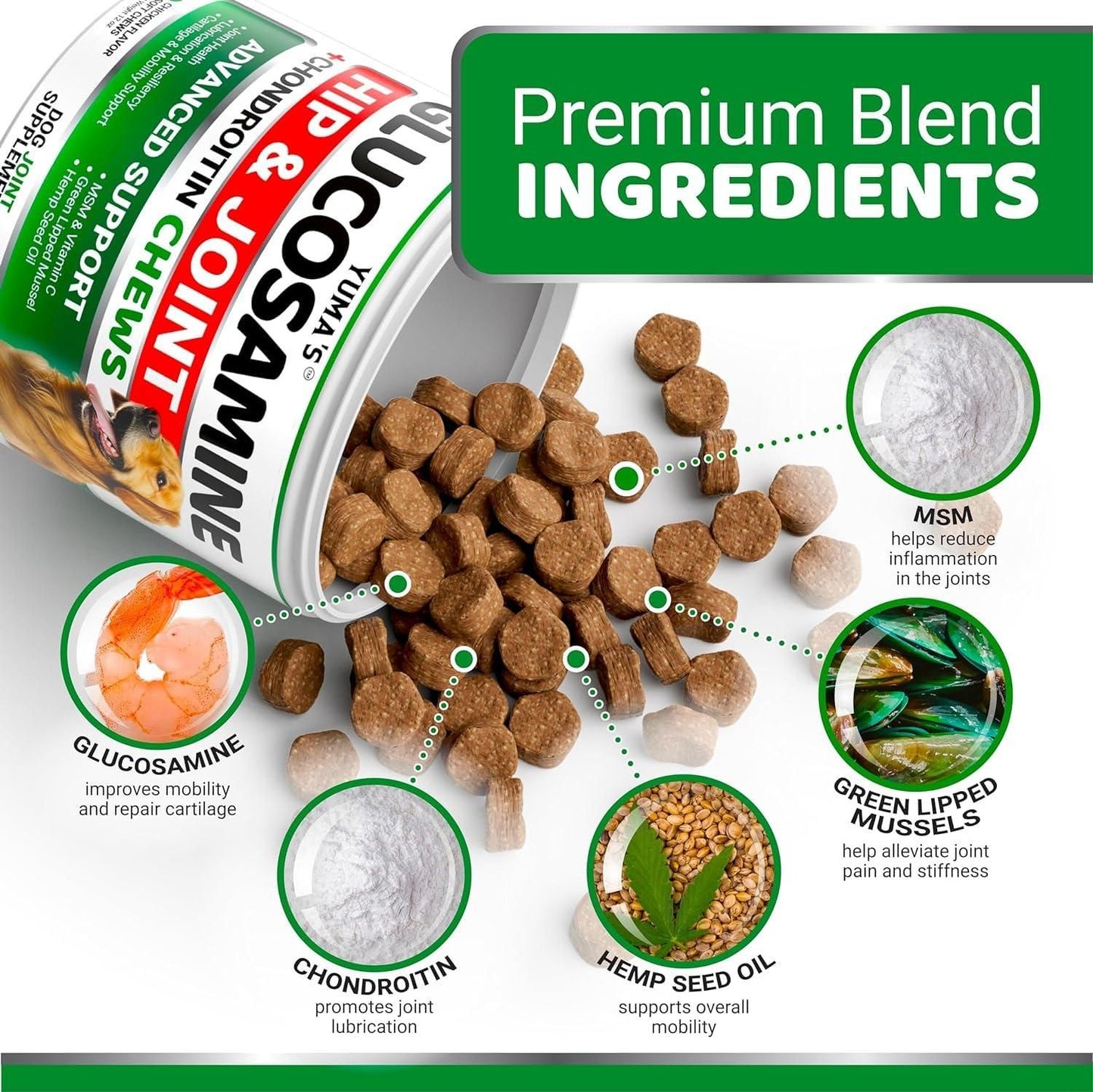 Glucosamine Chondroitin Hip & Joint Chews for Dogs, 2 Pack