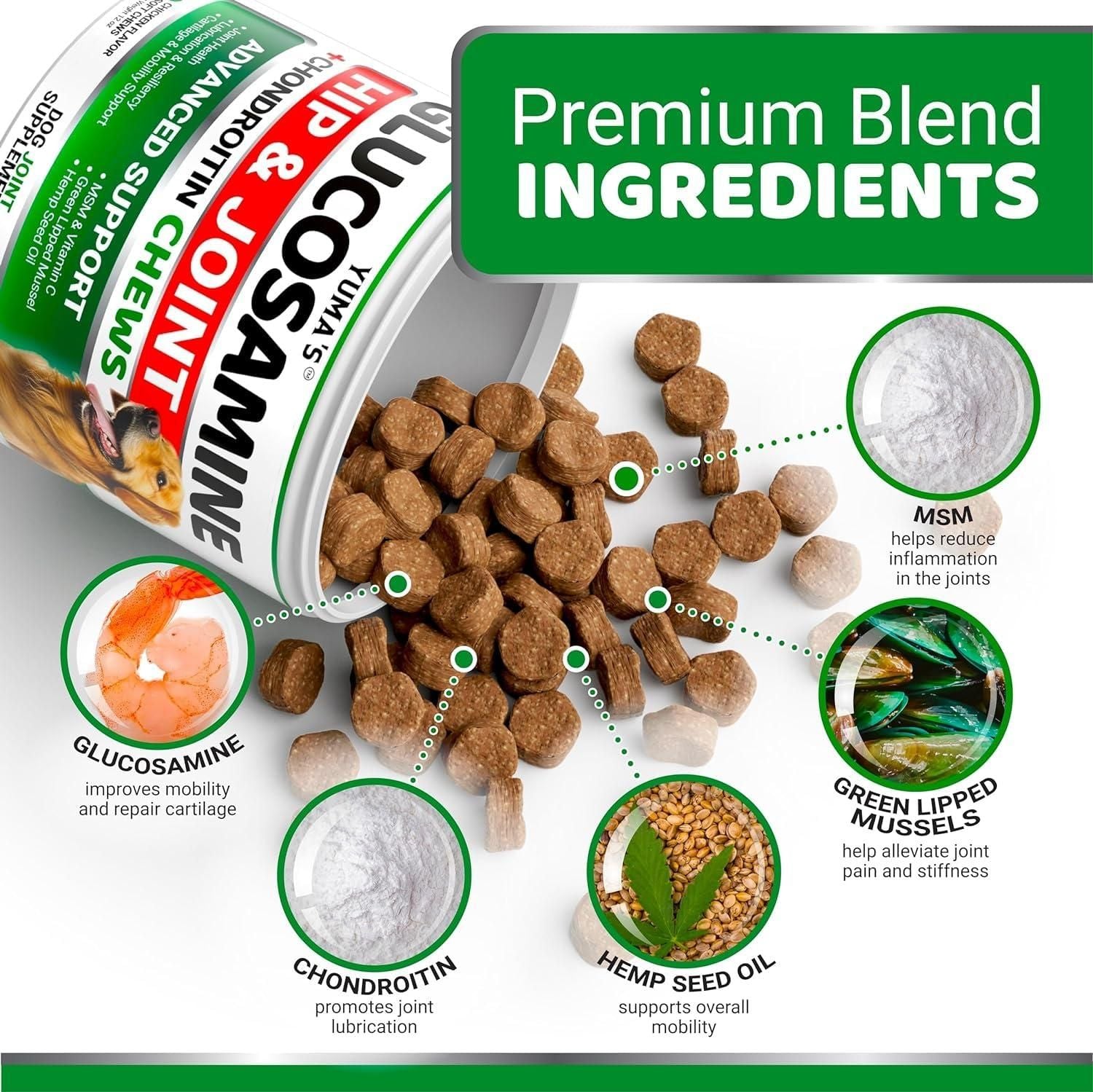 Glucosamine Chondroitin Hip & Joint Chews for Dogs, 2 Pack