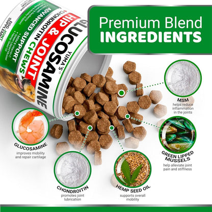Glucosamine Chondroitin Hip & Joint Chews for Dogs, 2 Pack