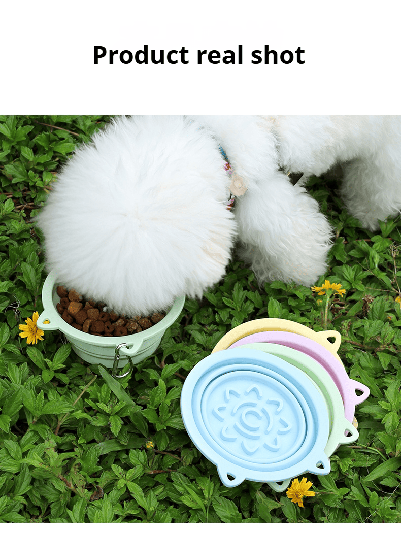 3-in-1 Pet Travel Collapsible Bowl Foldable Slow-Feeder with Strong