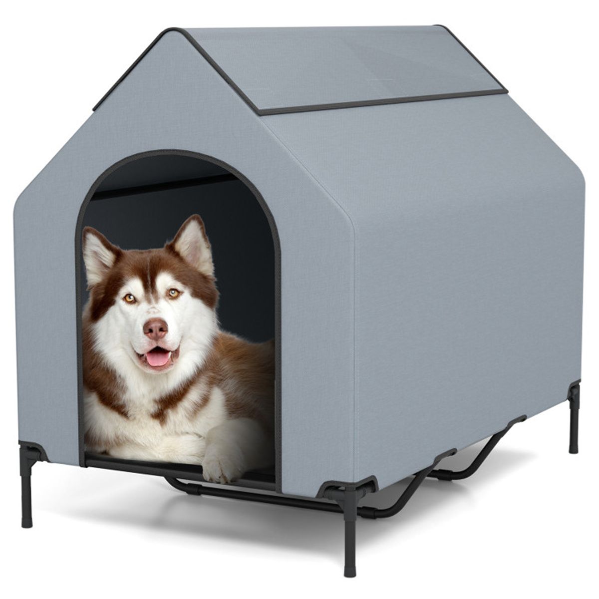 Pet House with Windows