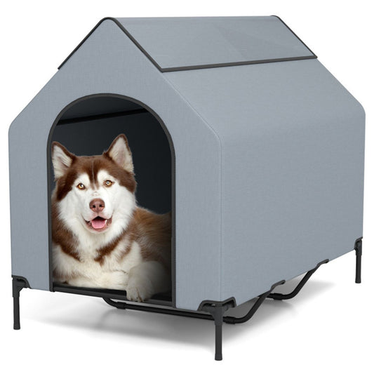 Pet House with Windows