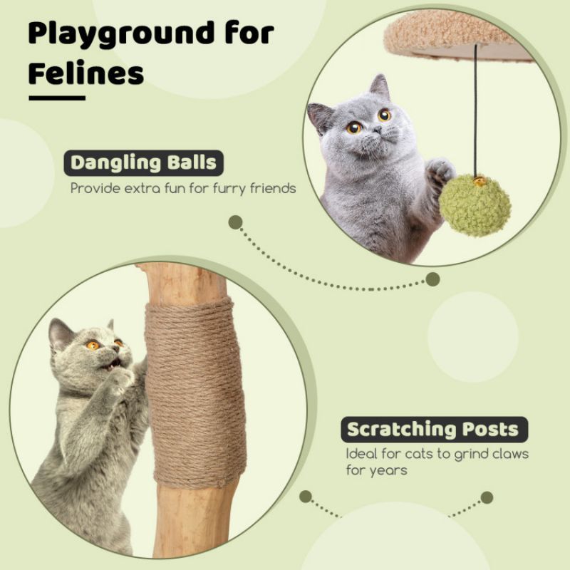Inch Wooden Cat Tree with Padded Top Perch