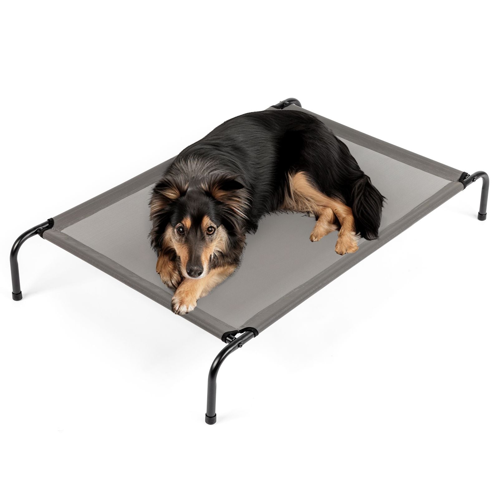 W X 8"H Dog Bed Gray