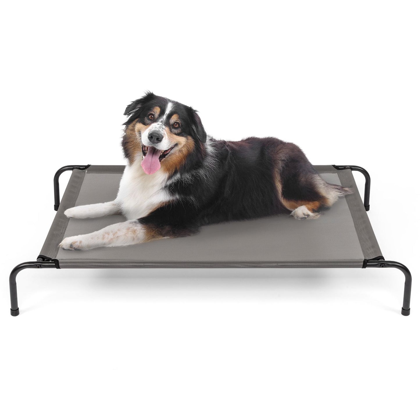 W X 8"H Dog Bed Gray